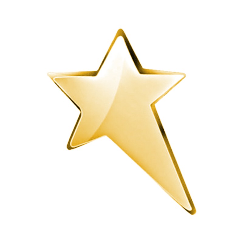19-36ABS-104 Star Small Gold.jpg